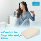 Large Triangle Wedge Pillow
