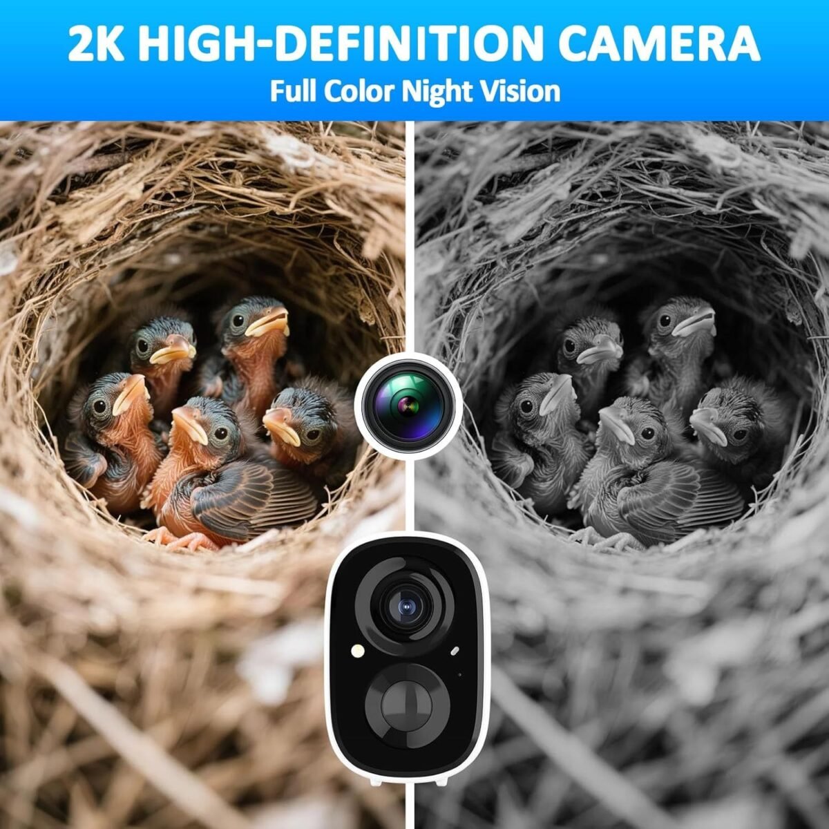 Smart Bird Houses For Outside Solar Powered,4MP Birdhouse Camera For Outdoors, Watch Bird Nesting & Hatching In Real Time, AI Identify Bird Behavior & Create, DIY Ideal Gift - Image 6