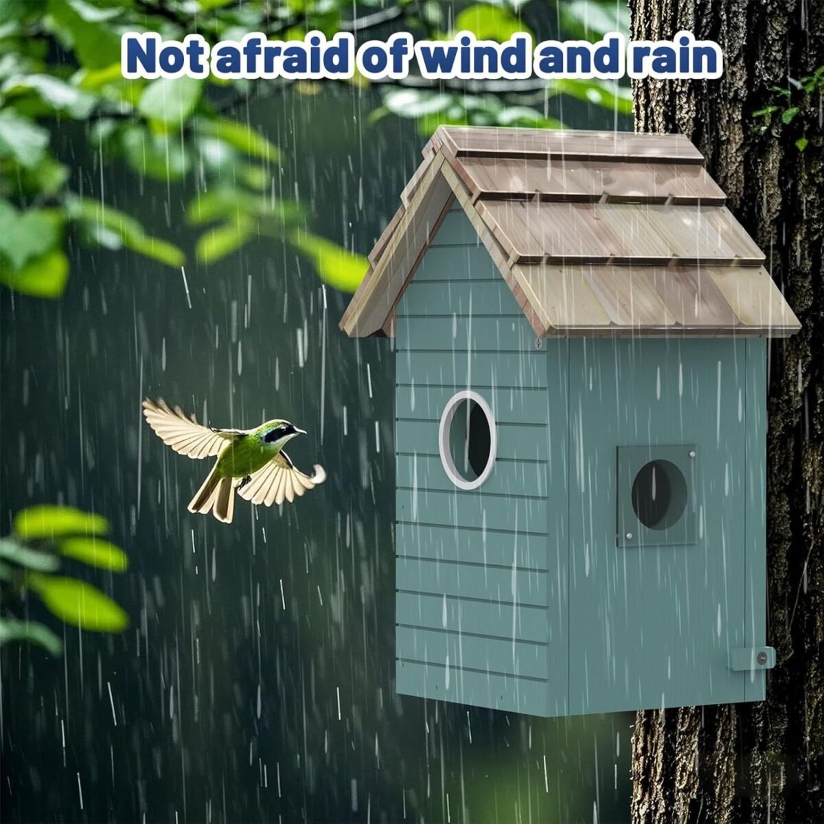 Smart Bird House,Bird Feeder With Camera - Ai Bird Species Identification, 3MP HD Photos, Inside 2.4G-Wi-Fi,1.5In Focus, Blue - Image 3