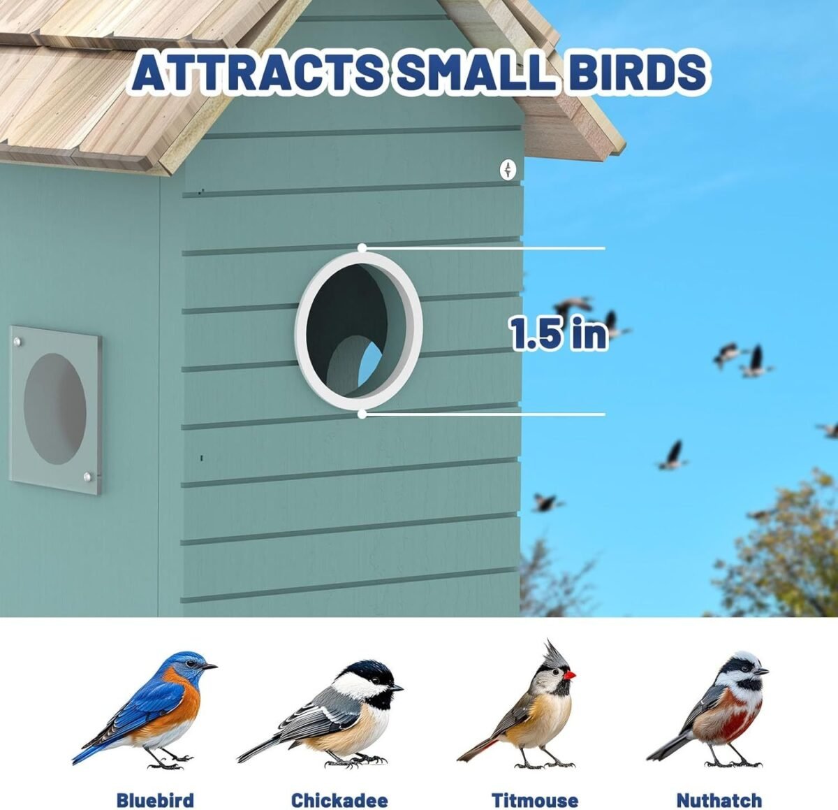 Smart Bird House,Bird Feeder With Camera - Ai Bird Species Identification, 3MP HD Photos, Inside 2.4G-Wi-Fi,1.5In Focus, Blue - Image 6